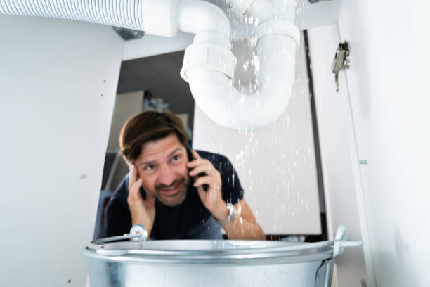 Best Affordable Plumbing Services  in Bloomfield Hills, MI